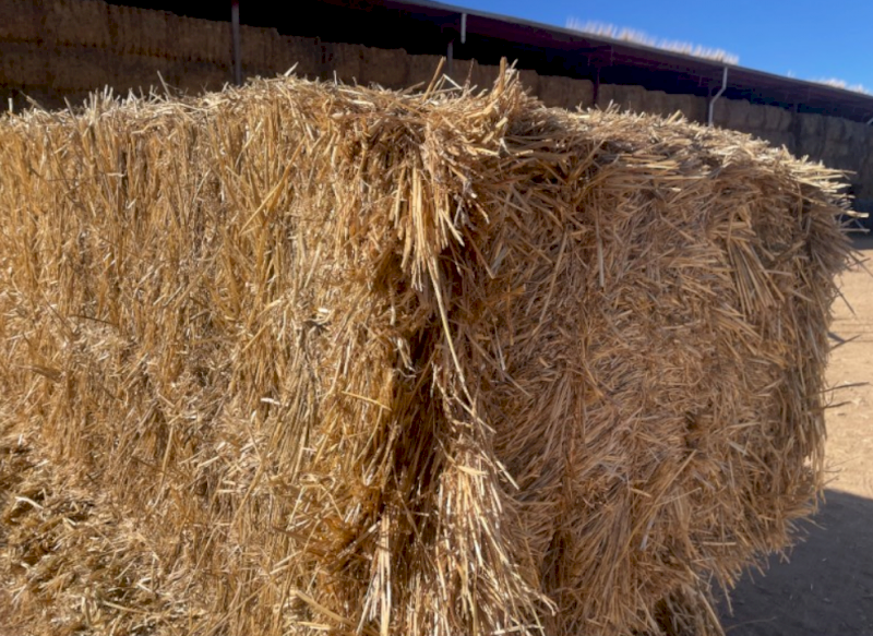 500 mt Wheat Straw (8x4x3) 
