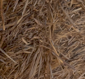 500 mt Wheat Straw (8x4x3) 