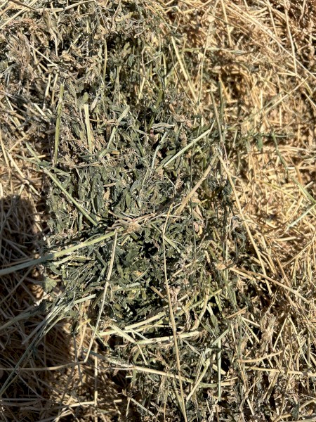 Lucerne Hay 5x4 rounds