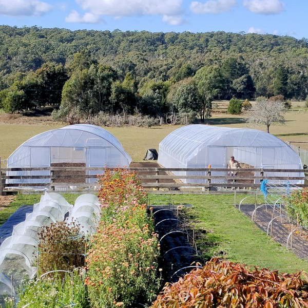 Bulk Clearance: 14 x Commercial Greenhouses (Polytunnels) + 5 x Frames (6x18m, 6x12m, 4x8m, 4x6m) 