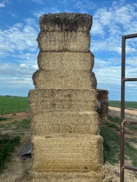 Header Trail barley straw