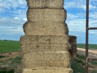 Header Trail barley straw