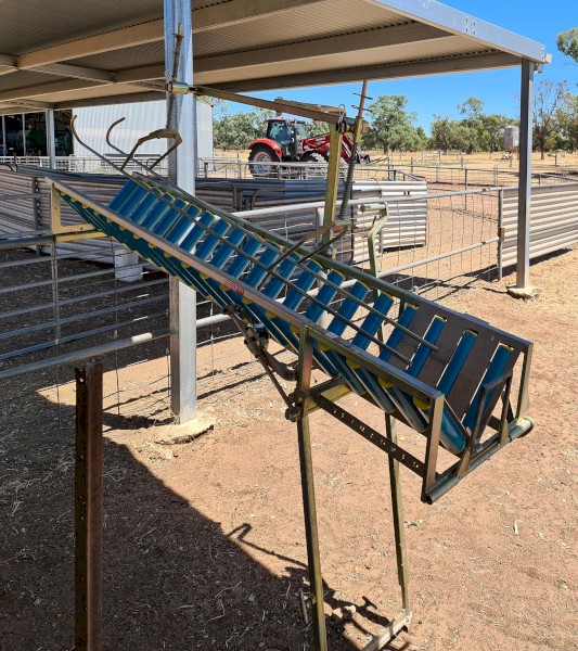 Lamb Marking Cradle - Vetmarker