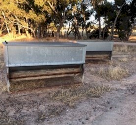 Sheep Lick Feeders