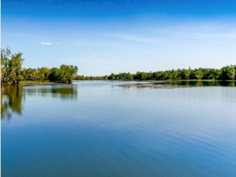 Waterzyme Water treatment for Dams and Tanks, Blue Green Algae Etc