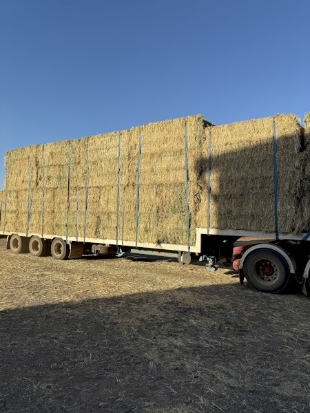 Oaten Hay 8x4x3 Bales