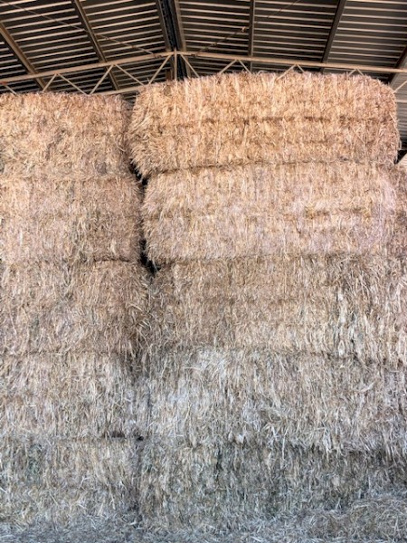 60mt Oaten Hay 400kg 8x4x3 Bales
