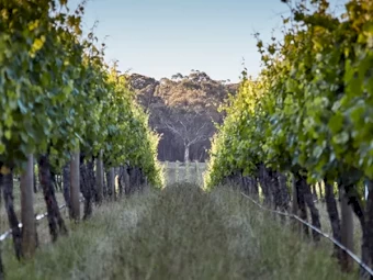 Looking to Lease Shed + Yard Space – Machinery Storage – Hunter Valley