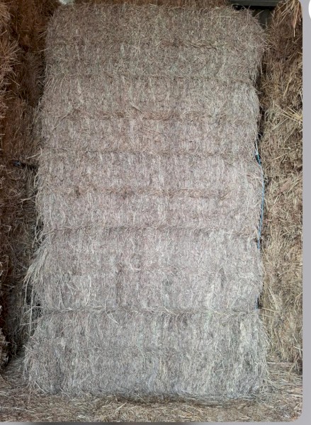 Grass Hay (x80)