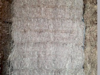Grass Hay (x80)
