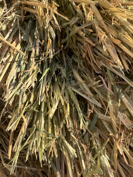 50 x Oaten Hay 750kg 8x4x3 Bales