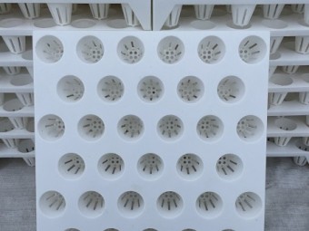 Hydroponic Growing Tray – 500 x 500mm, 33 Cells (65mm Each)