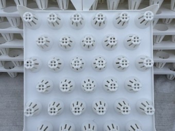 Hydroponic Growing Tray – 500 x 500mm, 33 Cells (65mm Each)