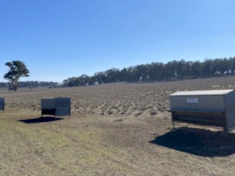Sheep feeders