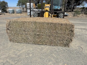 24mt Vetch Hay 560-580kg 8x4x3 Bales