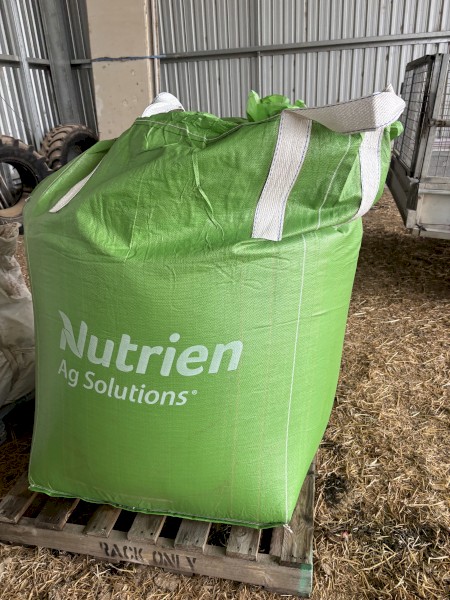 Calibre wheat seed