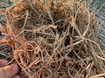5x4 Vetch rolls