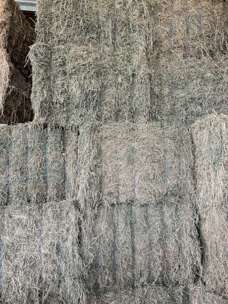 Lucerne Hay 8x4x3 Bales