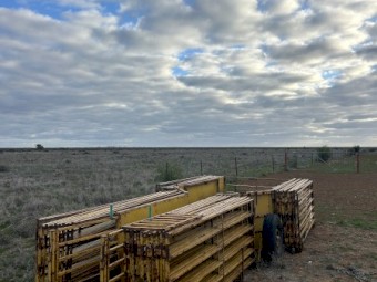 Portable Sheep Yards