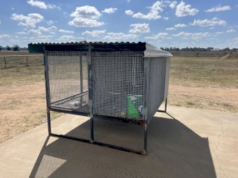 Raised Dog Run