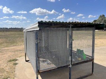 Raised Dog Run