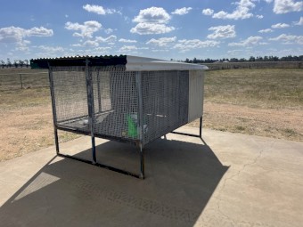 Raised Dog Run