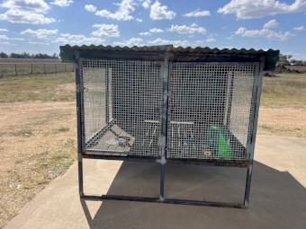 Raised Dog Run