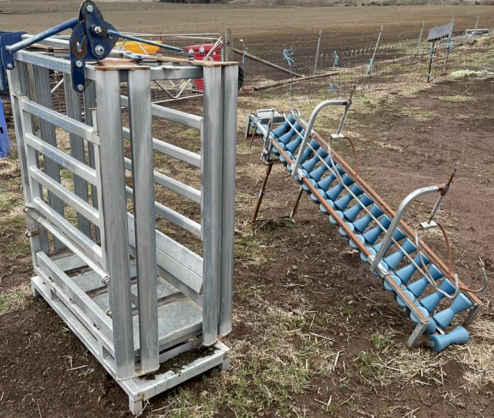 Sheep Meat Handler & Lamb Chute 