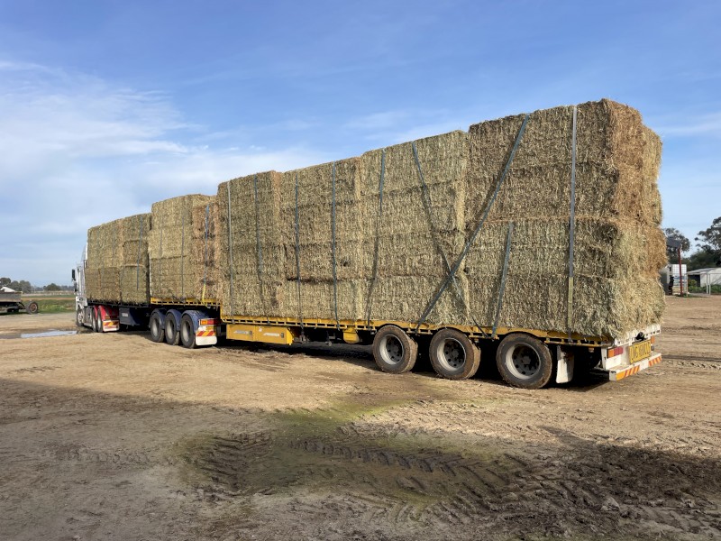 41 x Oaten/Vetch Hay 8x4x3 Bales