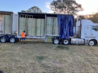 68 bales of  Quality 4^4 Hay