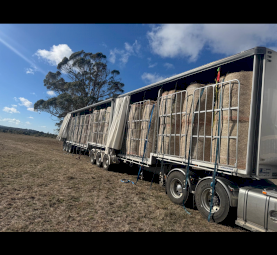 Hay transportation carrier 