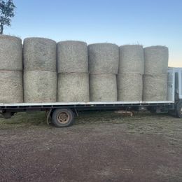 24 bales of excellent fine stem soft  Pasture Hay