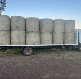 24 bales of excellent fine stem soft  Pasture Hay