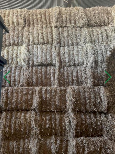 Oaten/Vetch Mix Hay 8x4x3 Bales