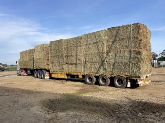 Oaten/Vetch Mix Hay 8x4x3 Bales
