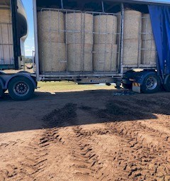 40  bale load Prime Beardless Barley 4^4