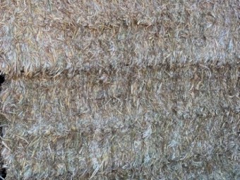 Oaten Hay 8X4X3 