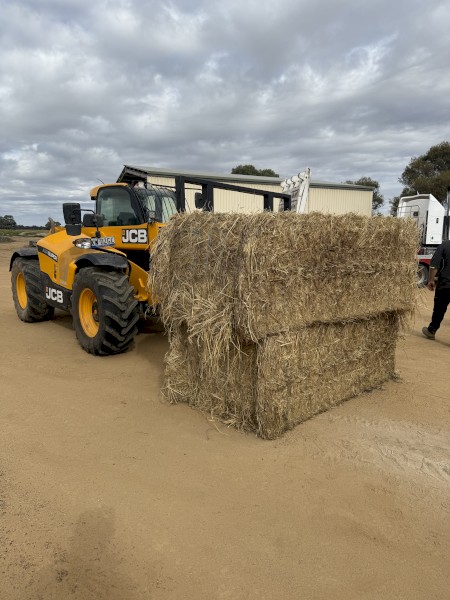 Rice Straw
