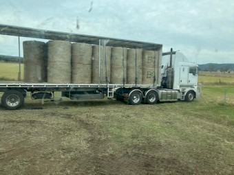 Premium 4^4 Rhodes Grass Hay Shedded