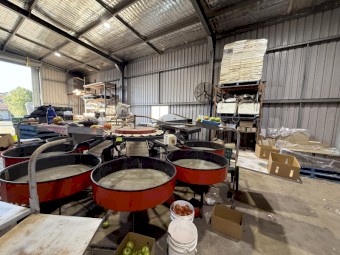 Tomato fruit grader