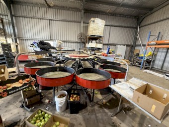 Tomato fruit grader