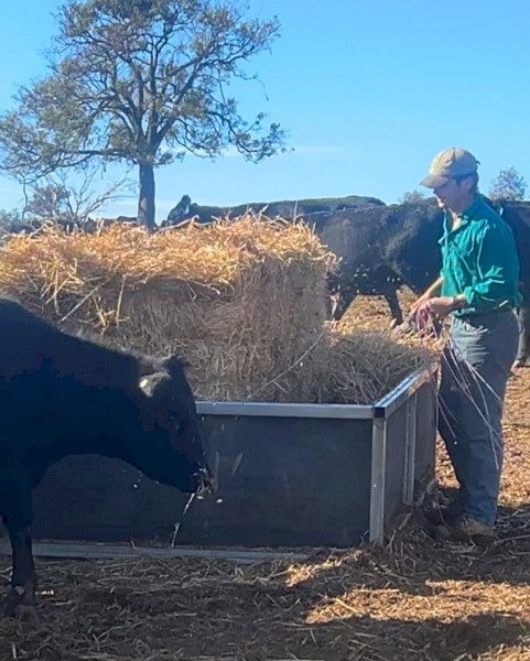 Hay Feeders 