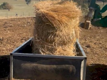 Hay Feeders 