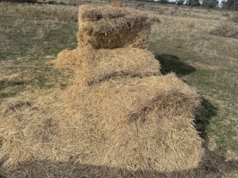 120 x Wheaten Straw 500kg 8x4x3 Bales