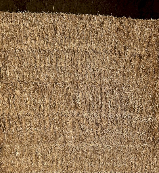 Wheaten Straw 8x4x3 Bales