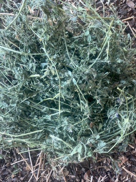 43mt Lucerne Hay 700kg 8x4x3 Bales