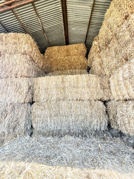 150mt Oaten Hay 600kg 8x4x3 Bales