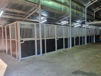 Classic Stables, 2017, 5 conjoined modular Stable Boxes