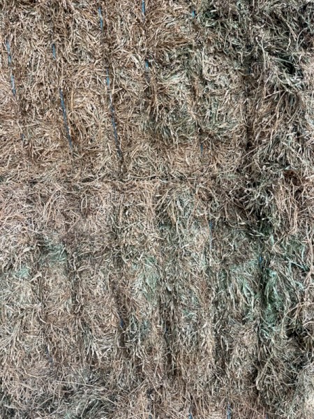 Cavalcade Hay