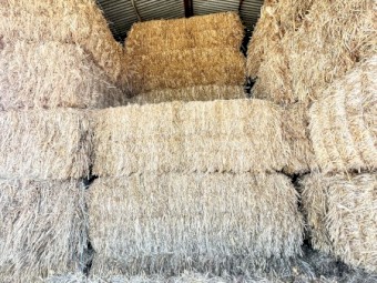  Oaten Hay 